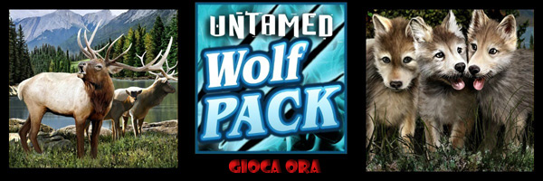 Untamed-Wolf-Pack